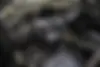 لاماری،  ایما