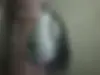 پراید  صندوق دار