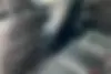 فولکس  تیگوان