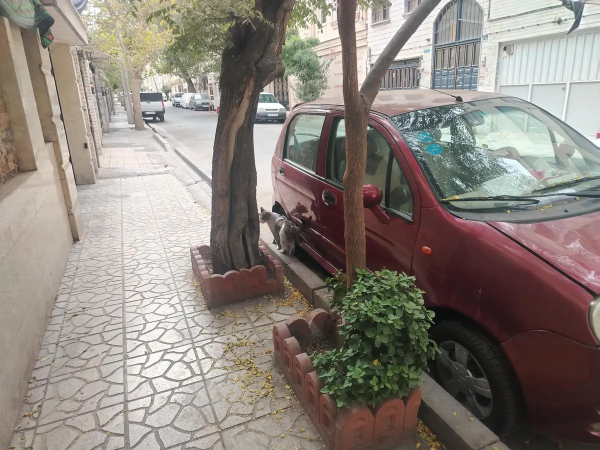 ام وی ام  110