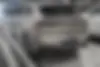 لاماری،  ایما