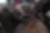 دنا  پلاس EF7
