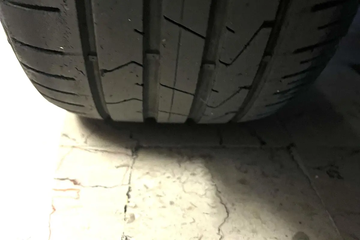 نیسان،  ماکسیما