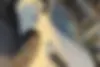 فولکس  ID.4 Crozz