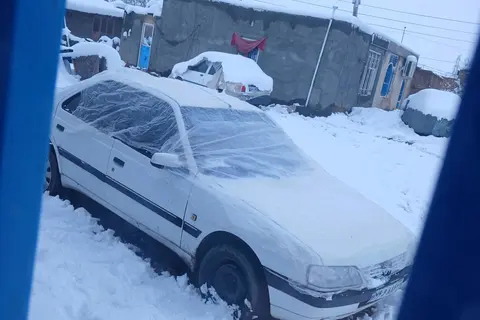 پژو، 405