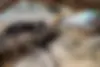 بنز  کلاس S