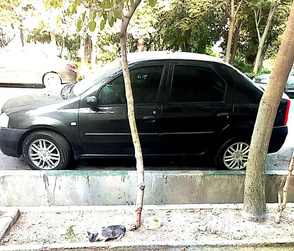 رنو، تندر 90