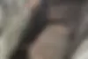 بنز  کلاس E