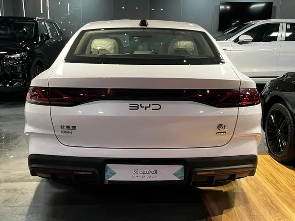 بی وای دی، چین ال DMi