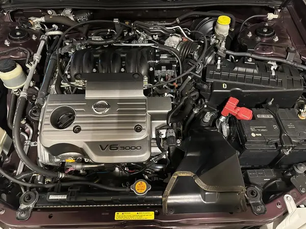 نیسان، ماکسیما