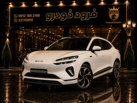 بی وای دی، سی لاین 06 DMi