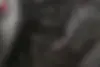 ریسپکت،  پرایم