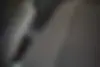 پژو  پارس