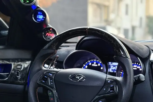 هیوندای، ولستر