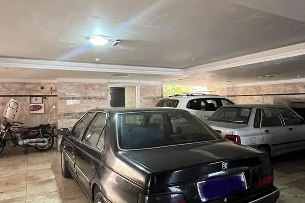 پژو  پارس