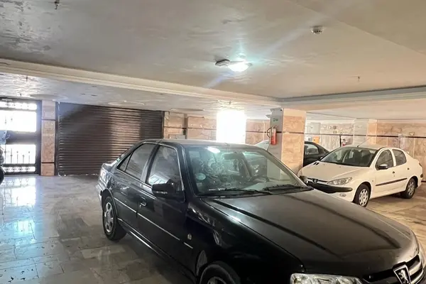 پژو  پارس