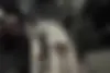 کیا  اپتیما