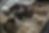 بنز،  کلاس E