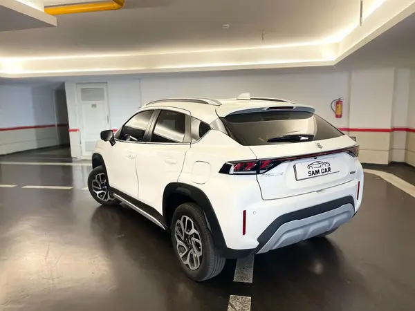 سوزوکی، فرانکس هیبرید