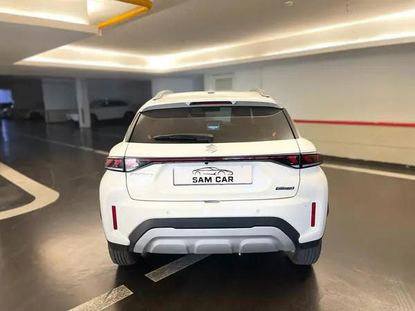 سوزوکی، فرانکس هیبرید