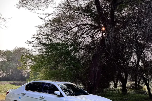 دنا  پلاس EF7