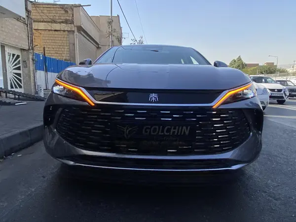 بی وای دی، چین L