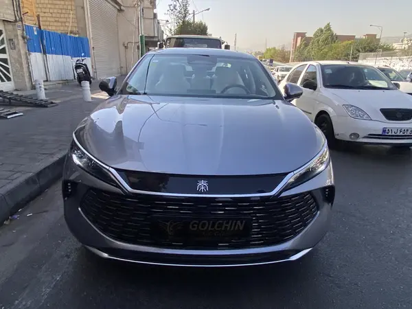 بی وای دی، چین L