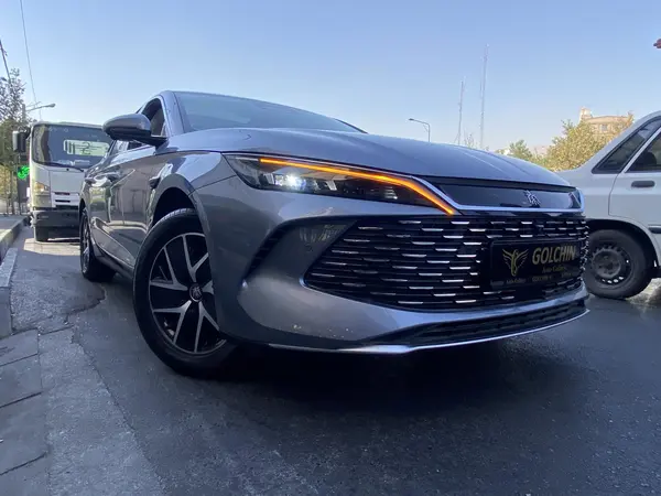 بی وای دی، چین L