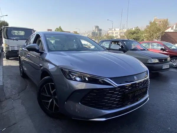 بی وای دی، چین L