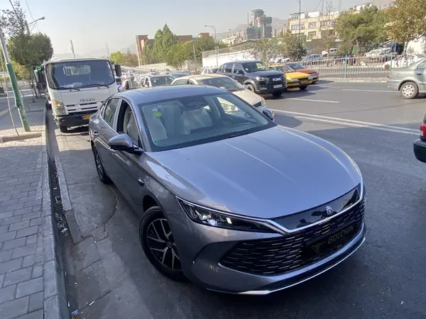 بی وای دی، چین L