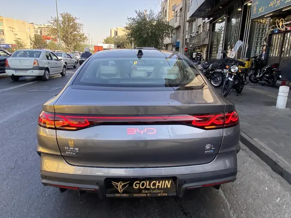 بی وای دی، چین L