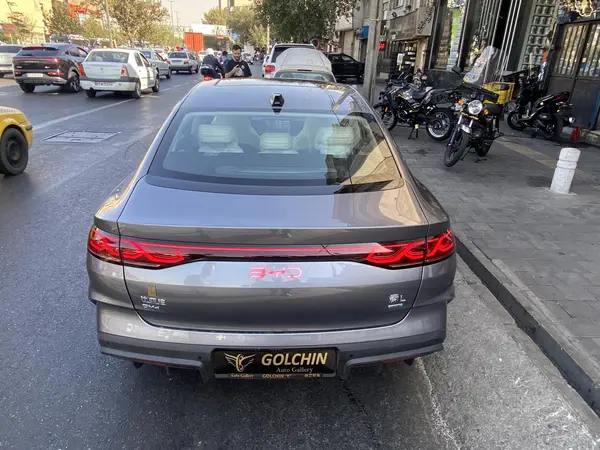 بی وای دی، چین L