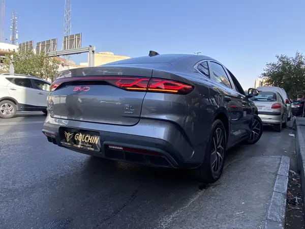 بی وای دی، چین L