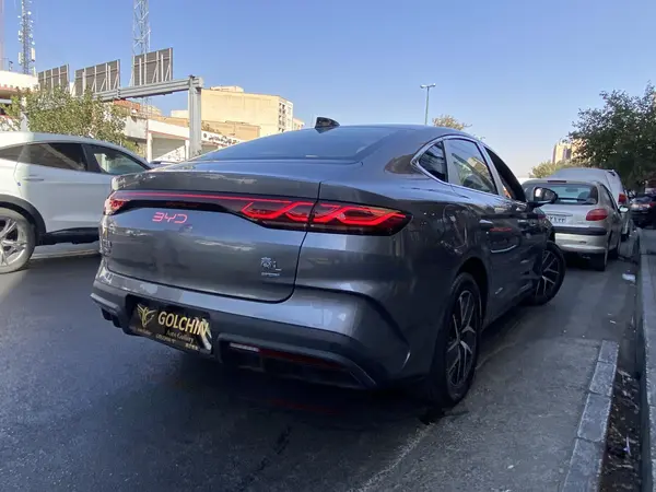 بی وای دی، چین L