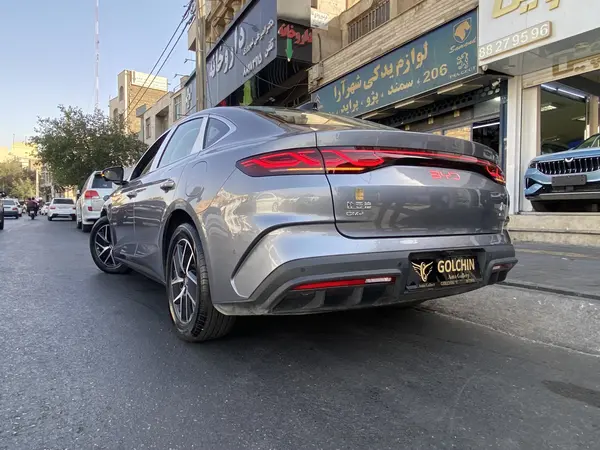 بی وای دی، چین L