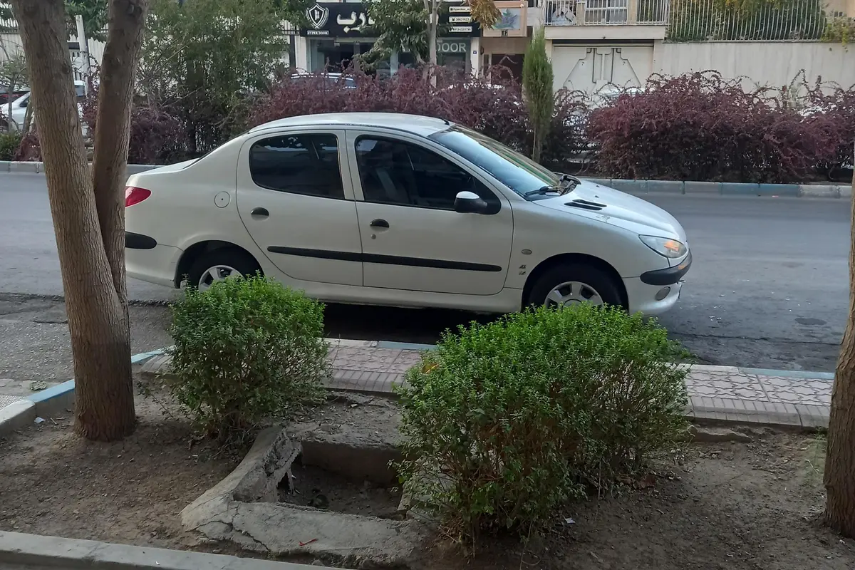 پژو،  206 SD