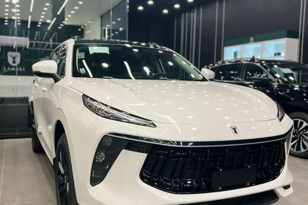 لاماری، ایما