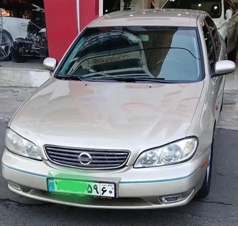 نیسان، ماکسیما