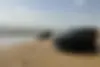 کی ام سی  T9