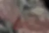لکسوس  LX