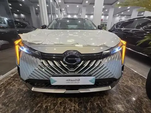 جی ای سی، امکو