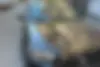 دنا، پلاس EF7