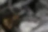هوندا،  وزل