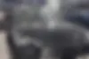لاماری  اکو