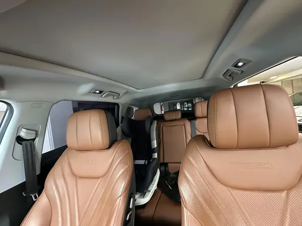 فونیکس  تیگو 8 پرو هیبرید (F8 PRO PHEV)