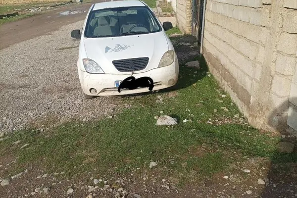 تیبا، صندوق دار