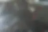 دنا  پلاس EF7P