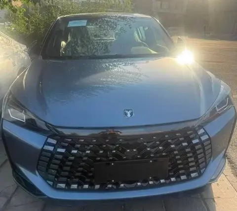 حواله لاماری، اکو
