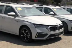 اشکودا، اوکتاویا پرو