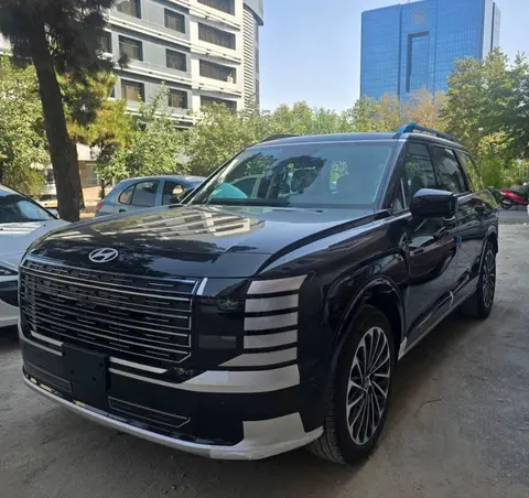 هیوندای، پالیسید